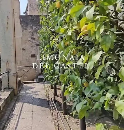 Coste Limone sul Garda