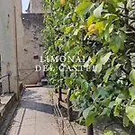 Coste Limone sul Garda